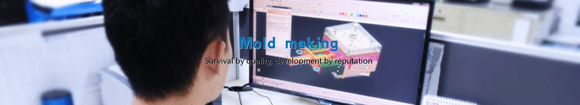 Mold